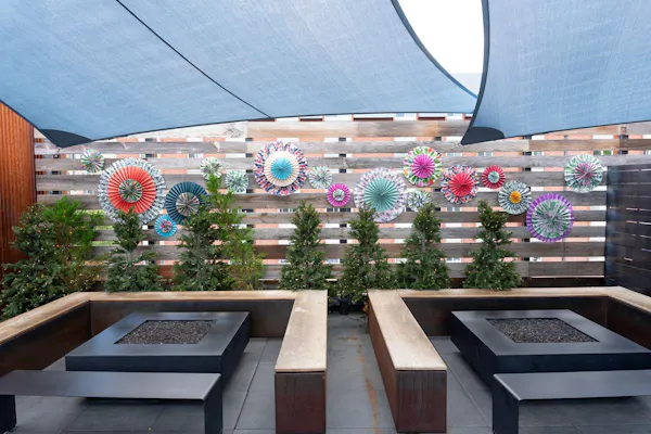 plant, flower, building, shade, public space, urban design
