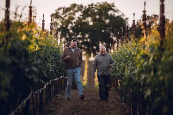 people in nature, winery, agriculture, plantation, vineyard, grapevines