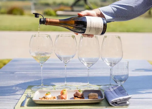 stemware, tableware, drinkware, wine glass, barware, serveware
