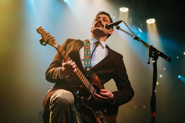 musical instrument, string instrument, plucked string instrument, performing arts, chordophone, audio equipment
