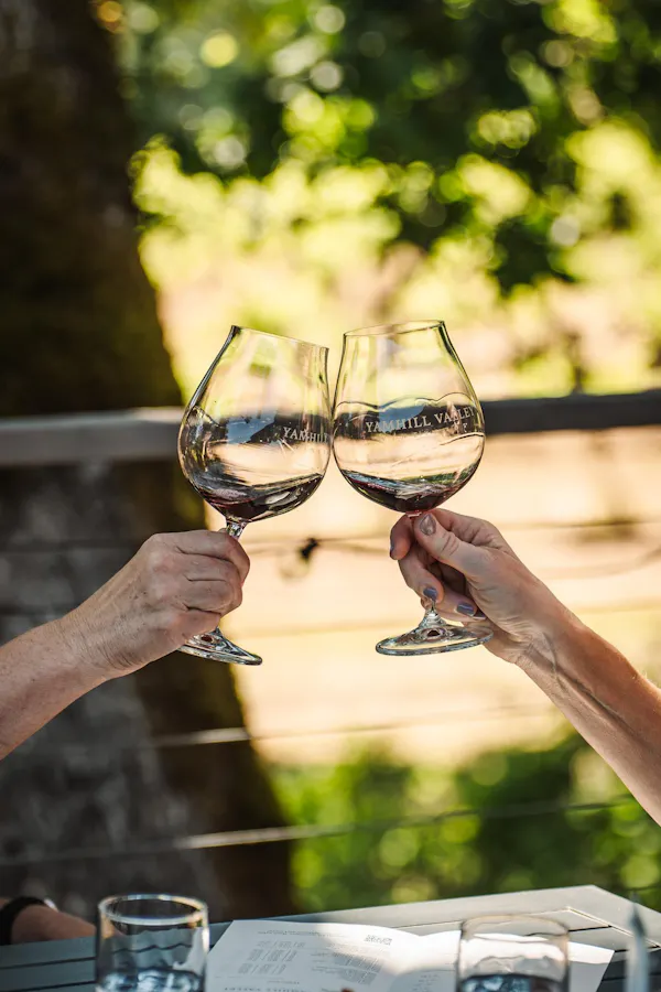 stemware, tableware, drinkware, wine glass, alcoholic drink, champagne glass