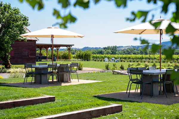 furniture, outdoor furniture, land lot, garden, plain, outdoor table