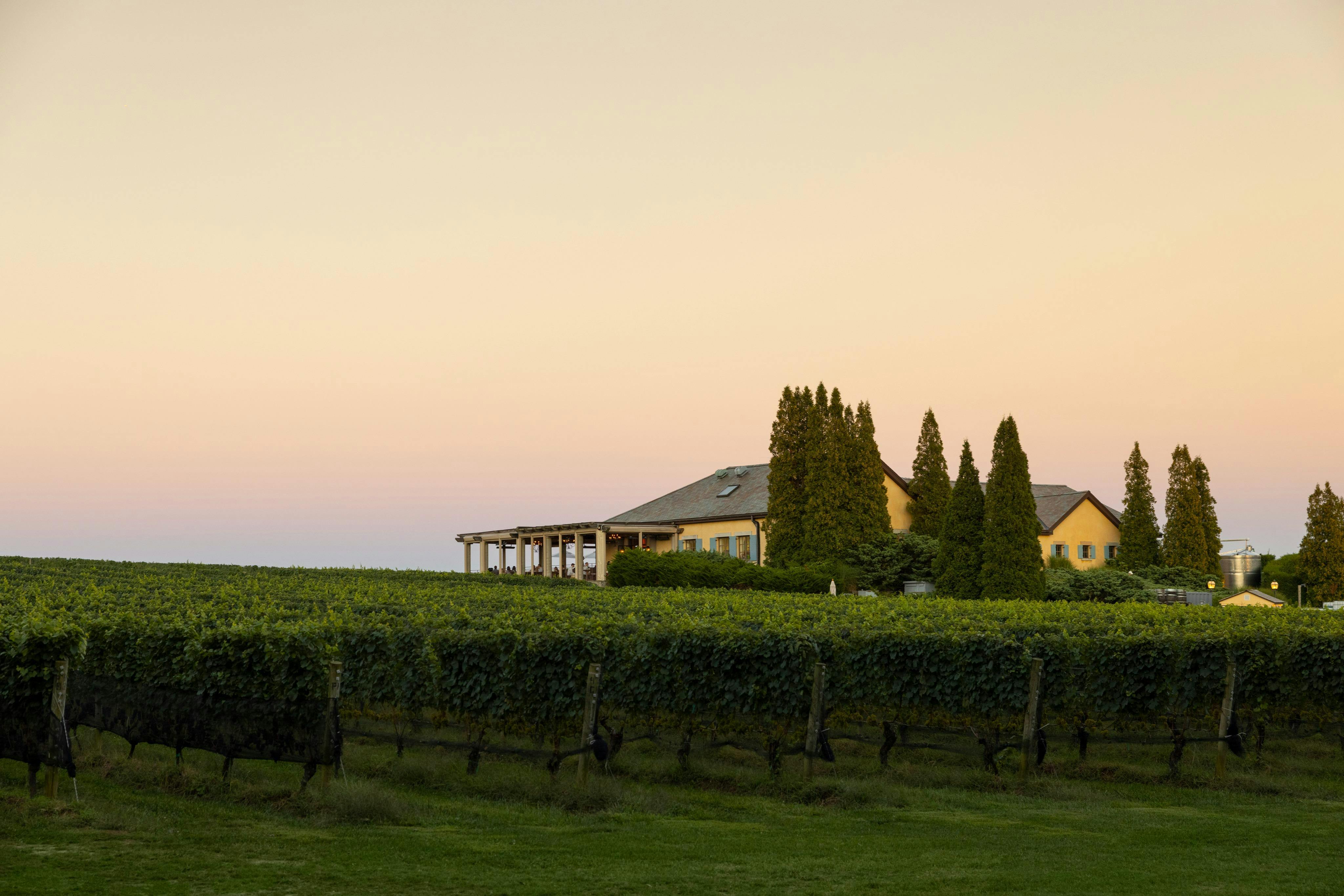 Wölffer Estate Vineyard