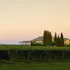 Wölffer Estate Vineyard