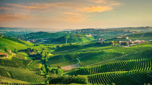 agriculture, hill, highland, field, plantation, hill station