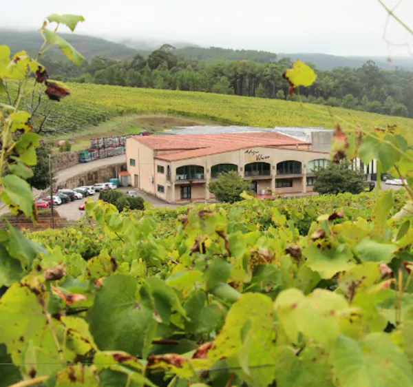plantation, agriculture