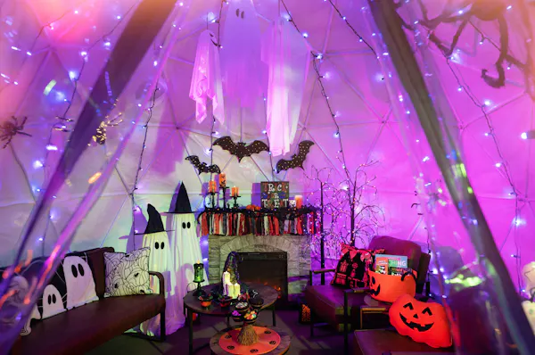 event, lighting, pink, purple, christmas decoration, decoration