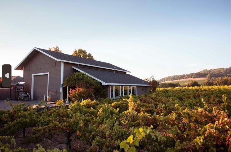 Limerick Lane Cellars