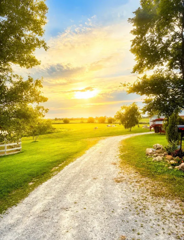 nature, green, grass, yellow, natural landscape, plants