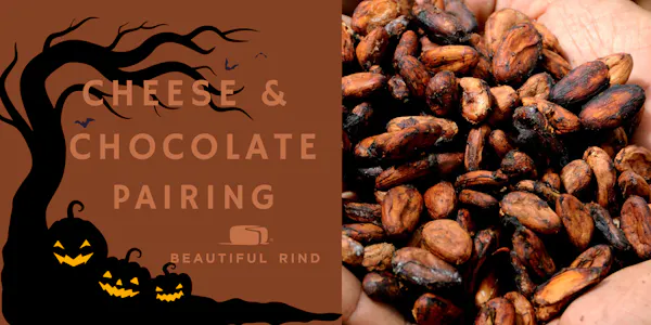 ingredient, food, chocolate, cocoa solids, superfood, produce