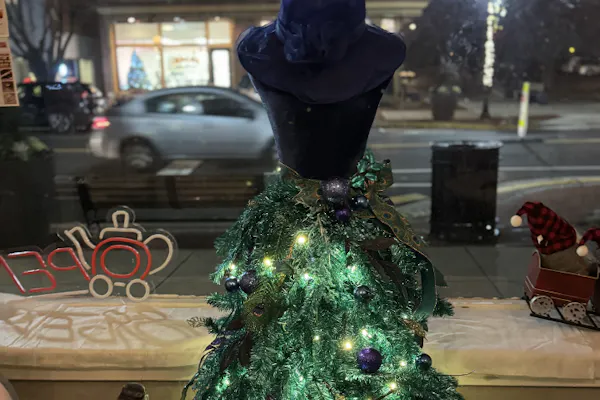 christmas decoration, christmas day, christmas tree, christmas ornament, holiday, display window