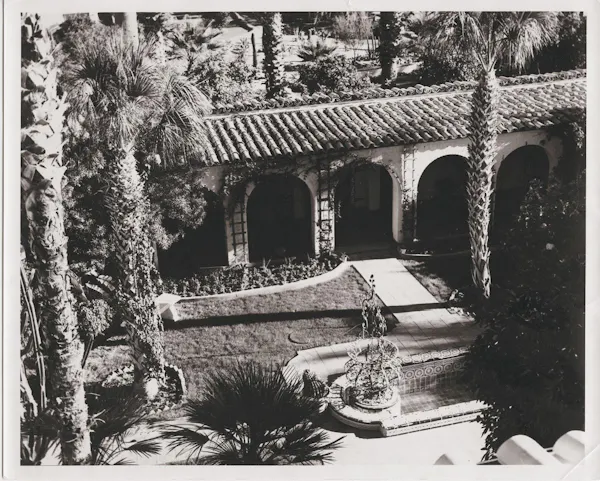 plant, tree, rectangle, tints and shades, shade, monochrome photography