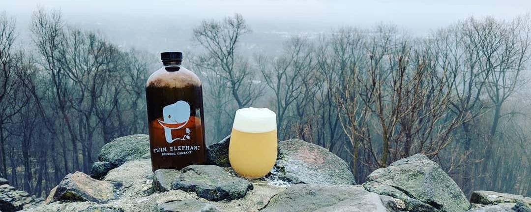 Twin Elephant Brewing Company