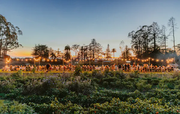 sunlight, morning, sunrise, evening, sunset, dusk