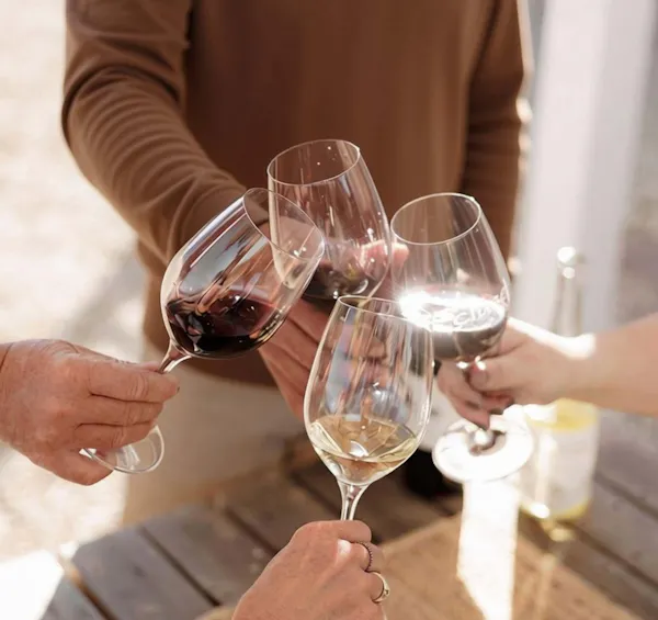 stemware, drinkware, tableware, wine glass, alcoholic drink, barware