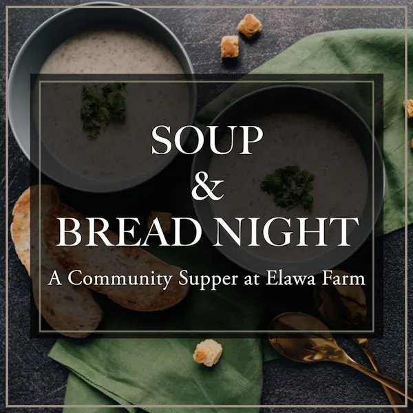 soup, recipe, staple food, food, stew, bread