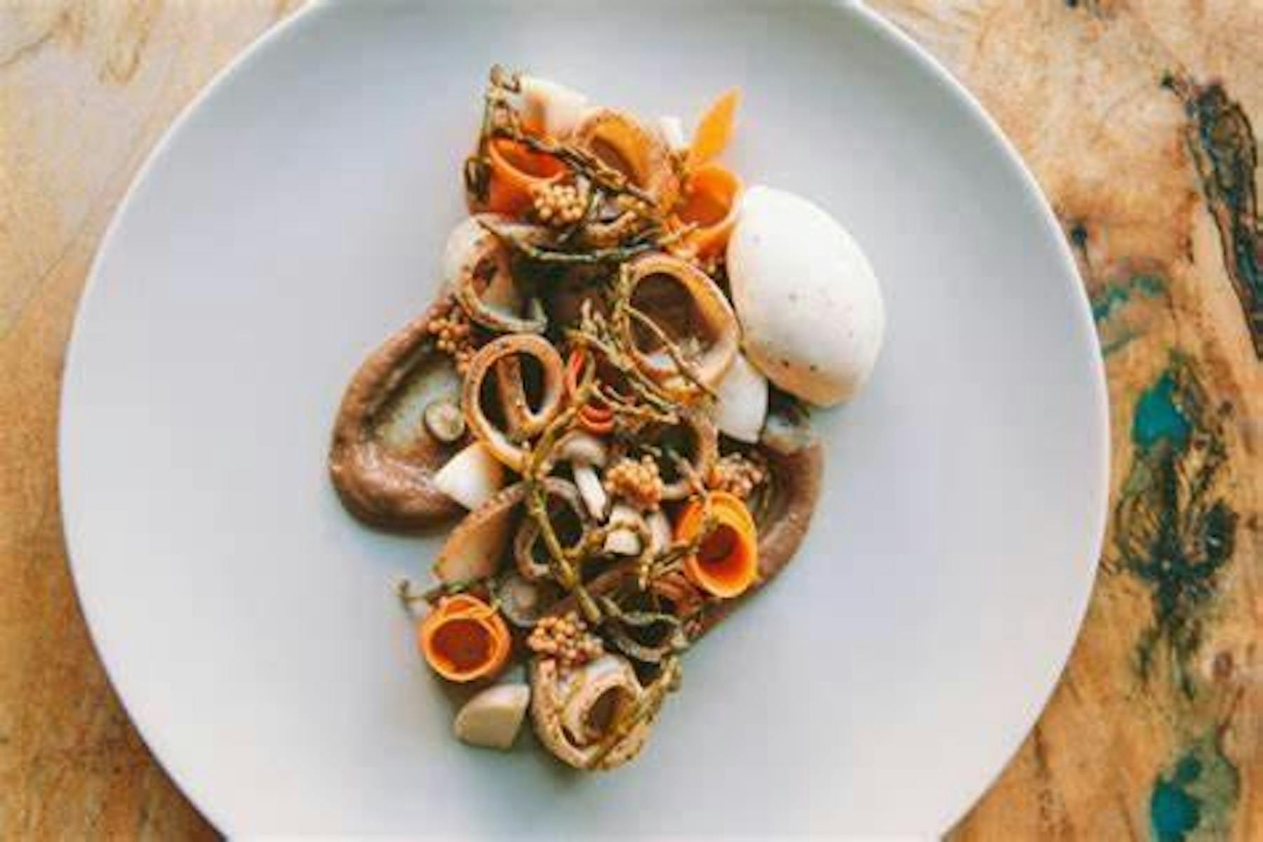 Tipsy Trout Stowe, VT Tock