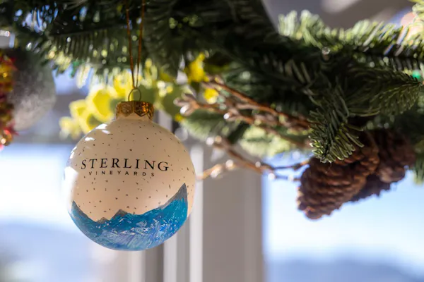 christmas ornament, christmas decoration, holiday ornament, christmas day, christmas tree, ornament