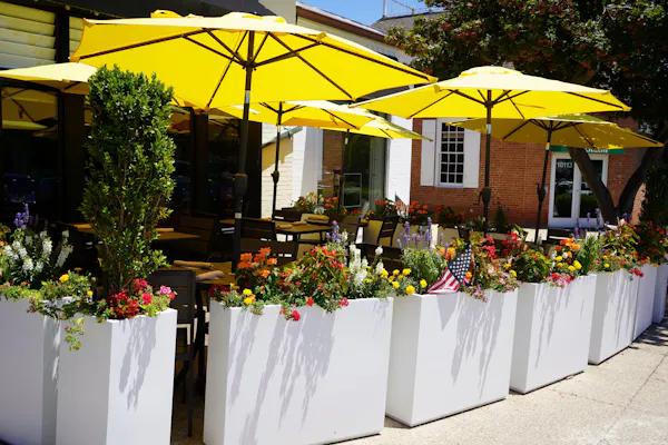 yellow, umbrella, flowerpot, floristry, shade, canopy