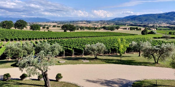 Wine Curiosity Takes Flight at our Wine Bar in Denver