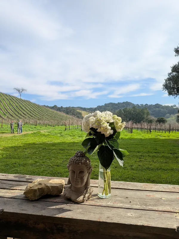 agriculture, plantation, field, garden, farm, vineyard