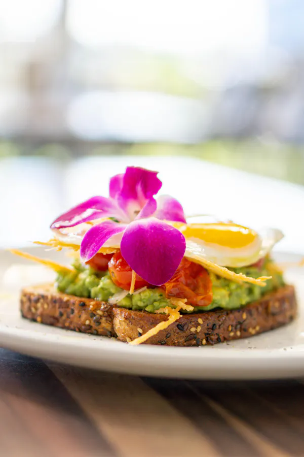 food, tableware, ingredient, finger food, breakfast, culinary arts