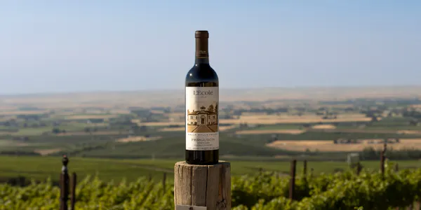 bottle, alcoholic drink, glass bottle, wine, wine bottle, agriculture