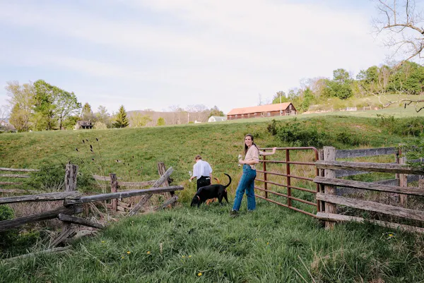 fence, grassland, landscape, rural area, split-rail fence, pasture