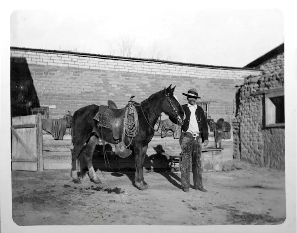 horse, bridle, working animal, halter, horse tack, rein
