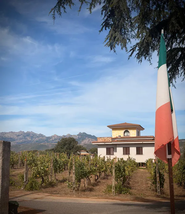 rural area, agriculture, plantation