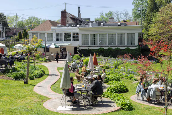 plants, garden, spring, leisure, chair, vacation