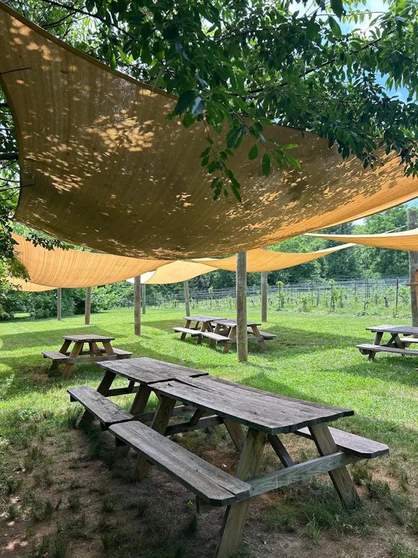 wood, shade, outdoor furniture, outdoor table, picnic table, canopy