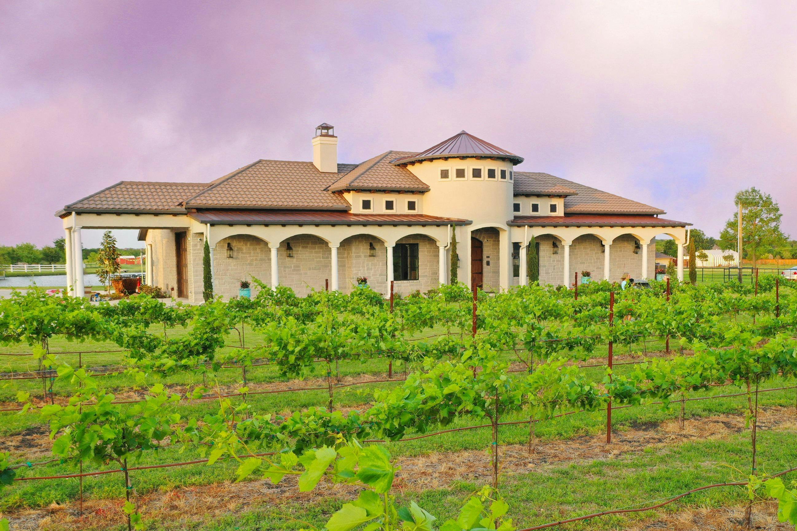 Rosini Vineyards