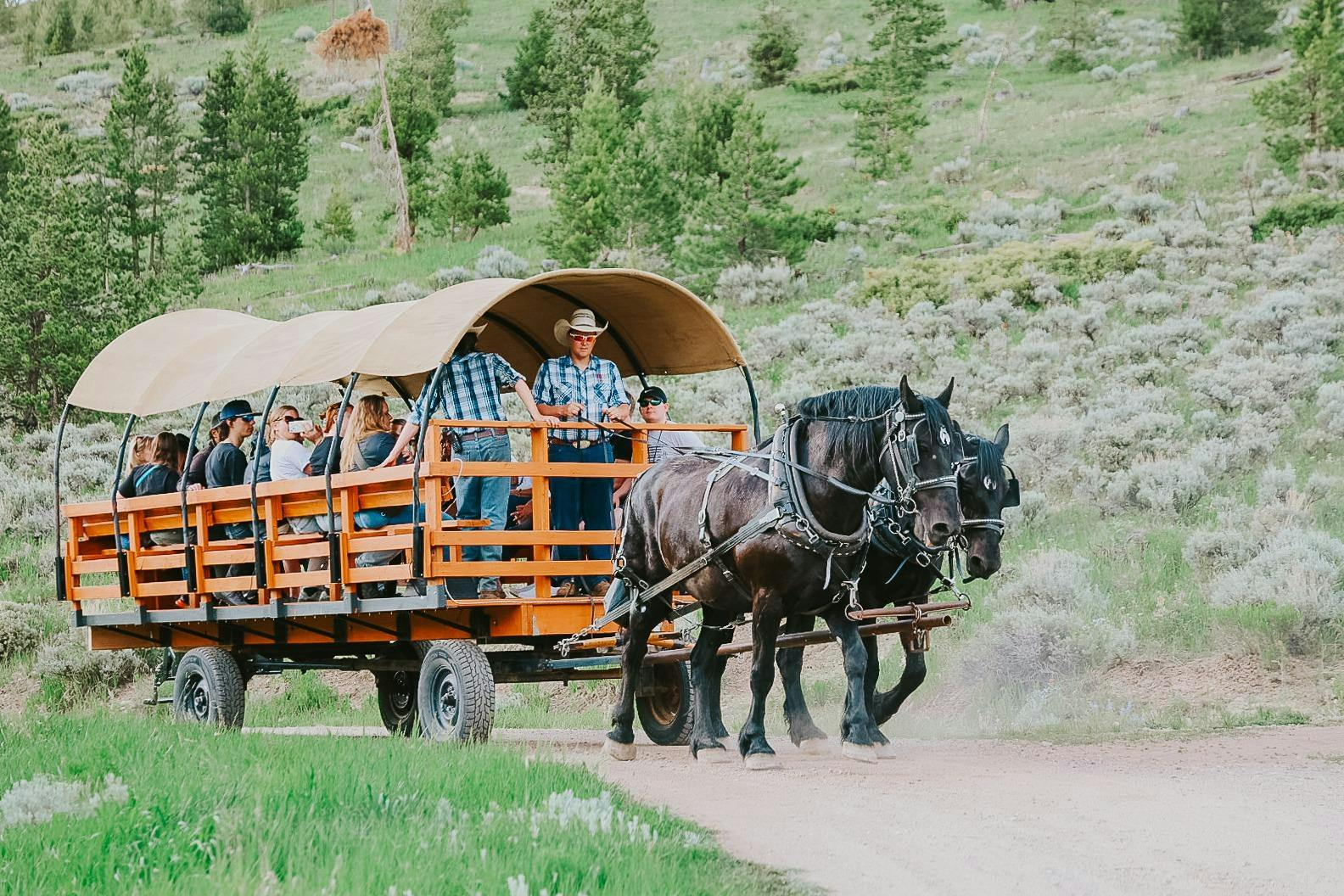 Keystone Stables Wagon Rides