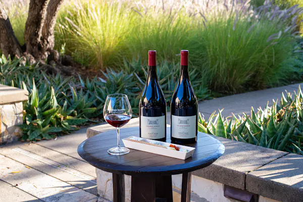 alcoholic drink, wine, red wine, bottle, furniture, drinkware