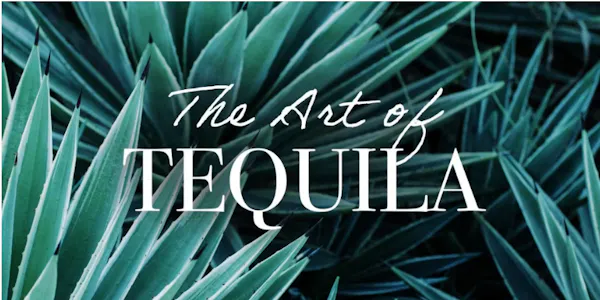 bottle, agave tequilana, alcoholic drink, liquor, agave, glass bottle