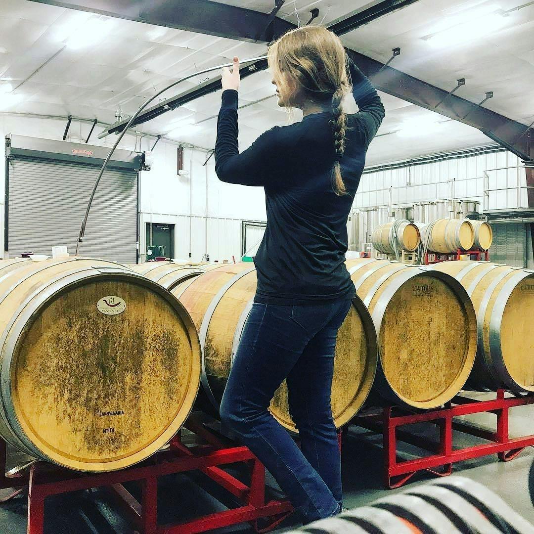 【50s】フレデリックワインバーグ【フィフティーズ】 The Wines of Francis Coppola Zinfandel | Francis Ford Coppola Winery