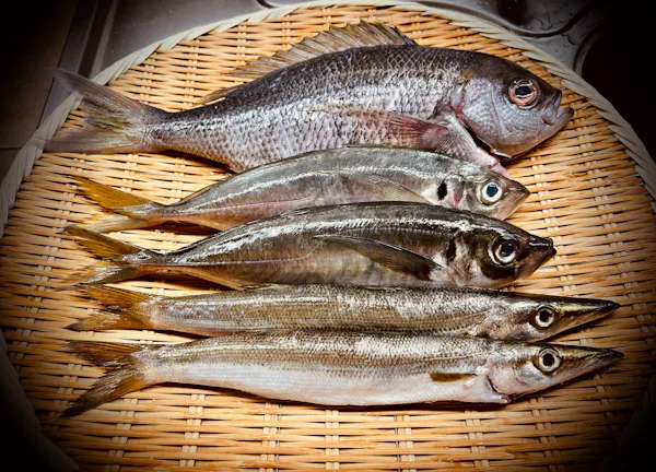 food, seafood, fish, staple food, wood, cuisine
