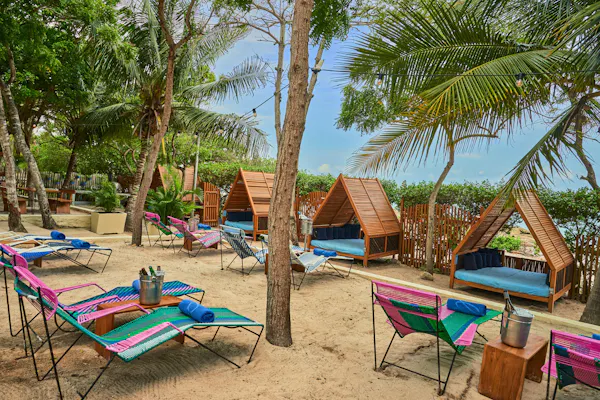 plant, sky, tree, outdoor furniture, shade, arecales