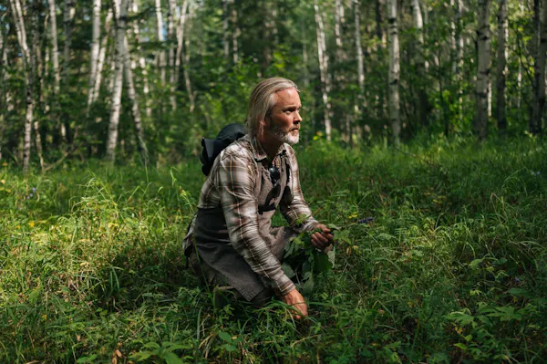 natural environment, leaf, wilderness, forest, plant community, people in nature
