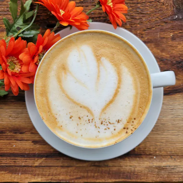 flower, tableware, espressino, coffee cup, wiener melange, cortado