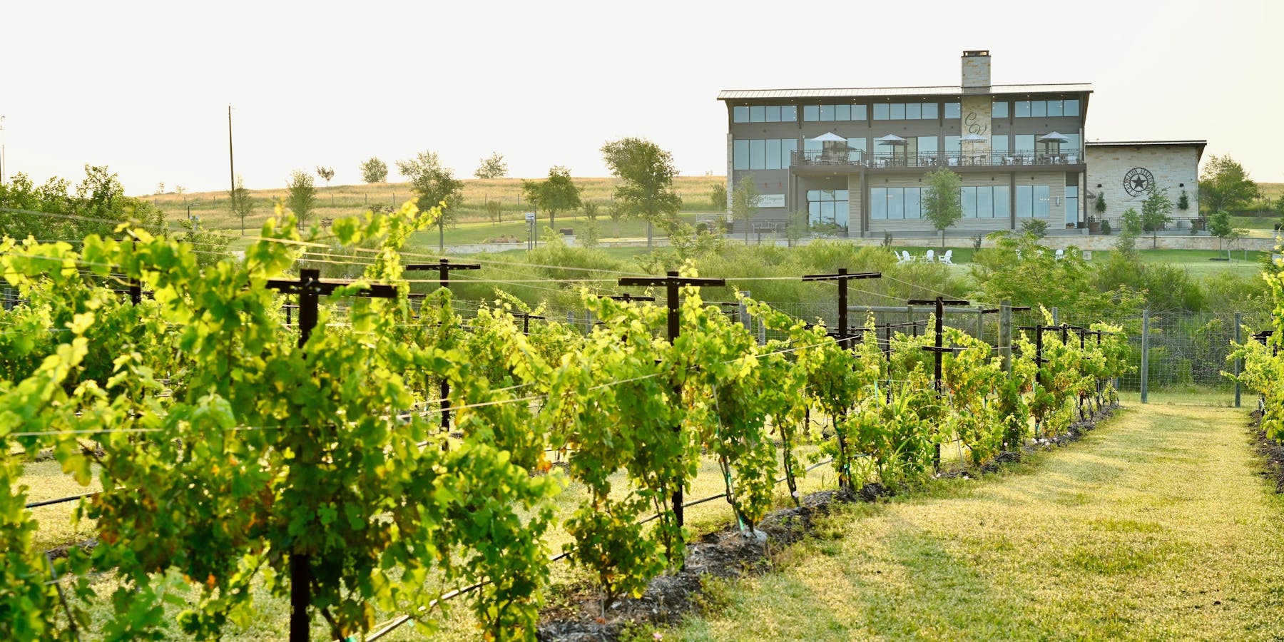 Chapelton Vineyards Washington, TX Tock