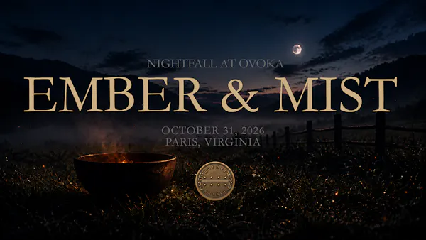 night, darkness, midnight, evening