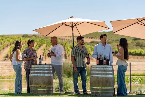 leisure, vacation, agriculture, barrel, plantation, sunglasses