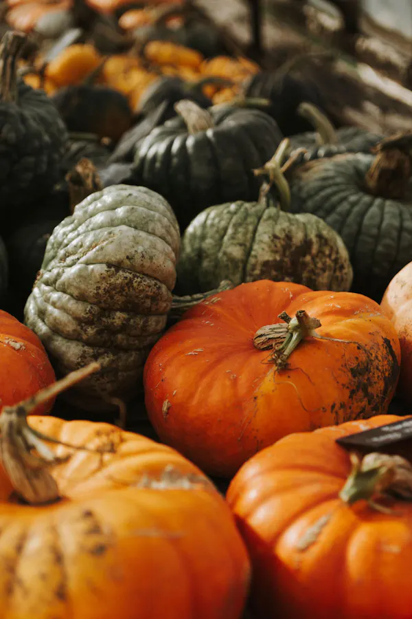 pumpkin, calabaza, produce, winter squash, natural foods, vegetable