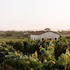 Danza del Sol Winery