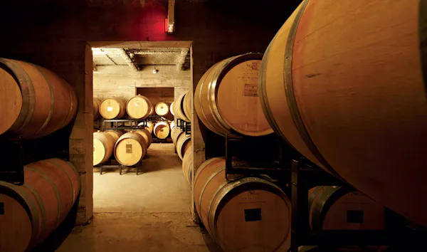 barrel, winery, wine cellar, hardwood, brewery, cylinder