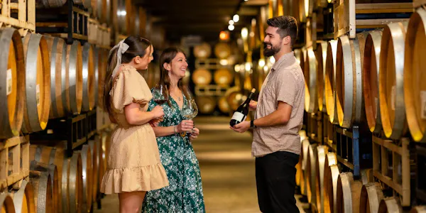 winery, barrel, agriculture