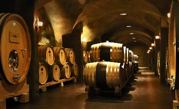 barrel, winery, wine cellar, inventory, brewery, basement