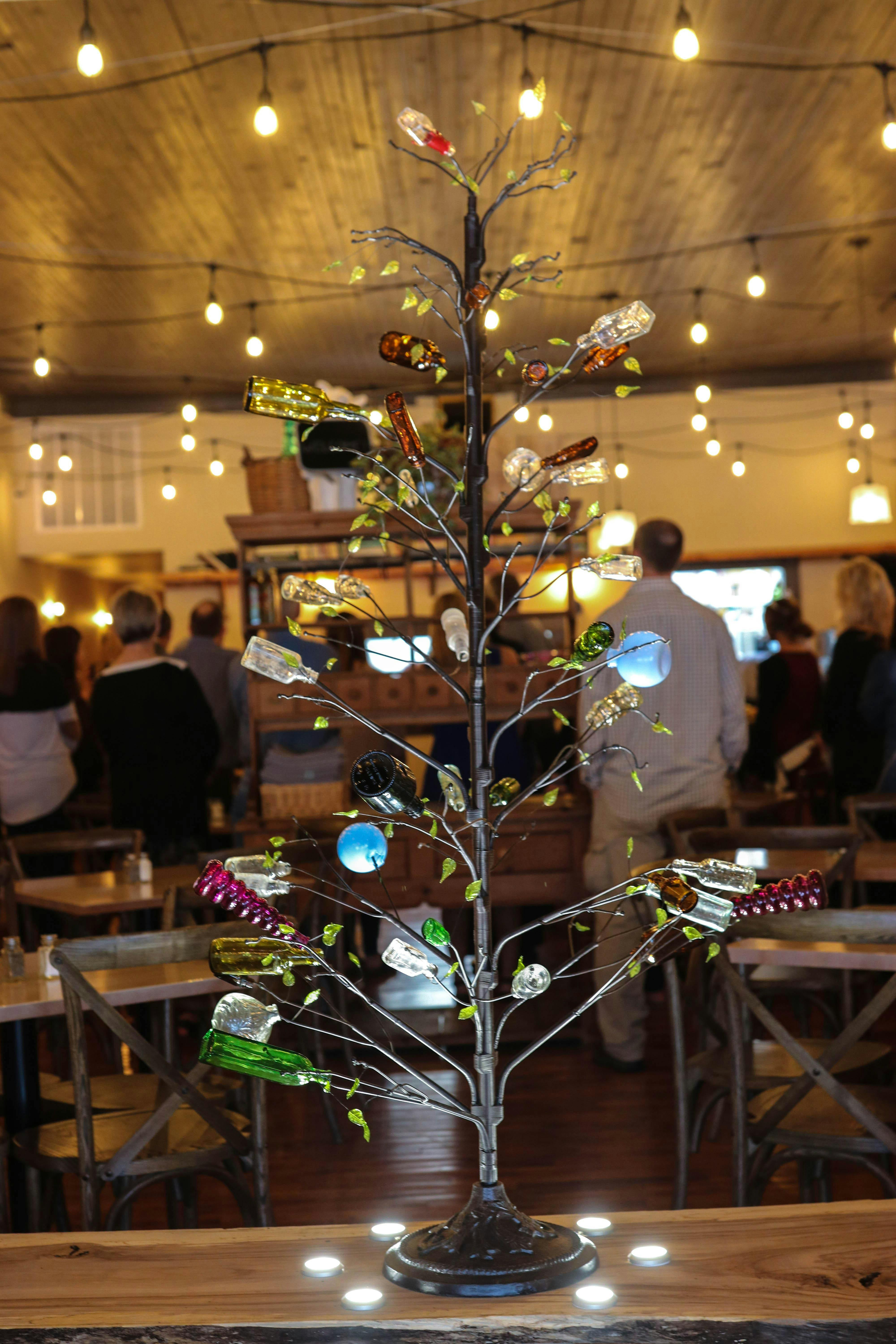 The Headland Bottletree